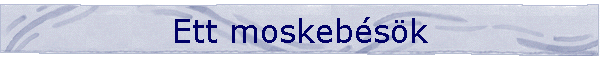 Ett moskebsk